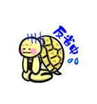 ヒガシヘルマンリクガメの亀ちゃん先生3（個別スタンプ：9）