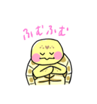 ヒガシヘルマンリクガメの亀ちゃん先生3（個別スタンプ：17）