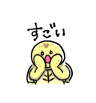 ヒガシヘルマンリクガメの亀ちゃん先生3（個別スタンプ：18）