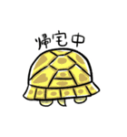 ヒガシヘルマンリクガメの亀ちゃん先生3（個別スタンプ：25）