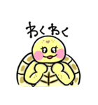 ヒガシヘルマンリクガメの亀ちゃん先生3（個別スタンプ：30）