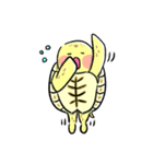ヒガシヘルマンリクガメの亀ちゃん先生3（個別スタンプ：36）