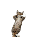 やる気がない怠け猫（個別スタンプ：8）
