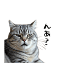やる気がない怠け猫（個別スタンプ：10）
