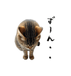 やる気がない怠け猫（個別スタンプ：11）