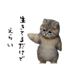 やる気がない怠け猫（個別スタンプ：15）