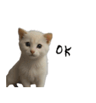 やる気がない怠け猫（個別スタンプ：17）