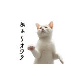 やる気がない怠け猫（個別スタンプ：21）
