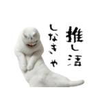 やる気がない怠け猫（個別スタンプ：28）