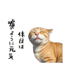 やる気がない怠け猫（個別スタンプ：34）