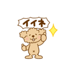 動け！トイプーのぷう太郎6（個別スタンプ：8）
