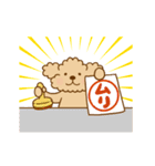 動け！トイプーのぷう太郎6（個別スタンプ：10）