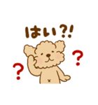 動け！トイプーのぷう太郎6（個別スタンプ：12）