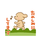 動け！トイプーのぷう太郎6（個別スタンプ：24）