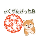 頑張ってる人に送るスタンプ ころころ豆柴（個別スタンプ：1）