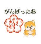 頑張ってる人に送るスタンプ ころころ豆柴（個別スタンプ：2）