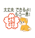 頑張ってる人に送るスタンプ ころころ豆柴（個別スタンプ：3）