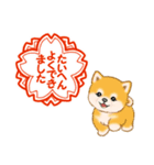 頑張ってる人に送るスタンプ ころころ豆柴（個別スタンプ：5）