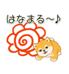 頑張ってる人に送るスタンプ ころころ豆柴（個別スタンプ：7）