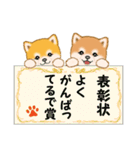 頑張ってる人に送るスタンプ ころころ豆柴（個別スタンプ：9）