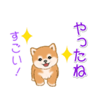 頑張ってる人に送るスタンプ ころころ豆柴（個別スタンプ：10）