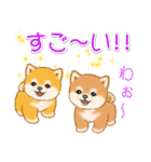 頑張ってる人に送るスタンプ ころころ豆柴（個別スタンプ：11）