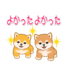 頑張ってる人に送るスタンプ ころころ豆柴（個別スタンプ：12）