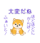 頑張ってる人に送るスタンプ ころころ豆柴（個別スタンプ：18）