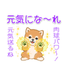 頑張ってる人に送るスタンプ ころころ豆柴（個別スタンプ：20）