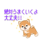 頑張ってる人に送るスタンプ ころころ豆柴（個別スタンプ：21）