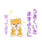 頑張ってる人に送るスタンプ ころころ豆柴（個別スタンプ：22）