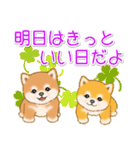 頑張ってる人に送るスタンプ ころころ豆柴（個別スタンプ：24）