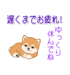 頑張ってる人に送るスタンプ ころころ豆柴（個別スタンプ：26）