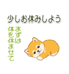 頑張ってる人に送るスタンプ ころころ豆柴（個別スタンプ：28）