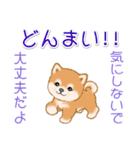頑張ってる人に送るスタンプ ころころ豆柴（個別スタンプ：29）