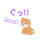 頑張ってる人に送るスタンプ ころころ豆柴（個別スタンプ：34）