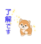 頑張ってる人に送るスタンプ ころころ豆柴（個別スタンプ：37）