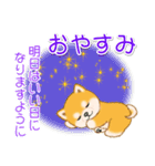 頑張ってる人に送るスタンプ ころころ豆柴（個別スタンプ：39）