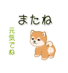 頑張ってる人に送るスタンプ ころころ豆柴（個別スタンプ：40）