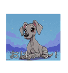 ワイマラナーがいっぱい（個別スタンプ：1）