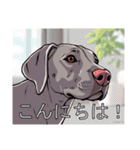 ワイマラナーがいっぱい（個別スタンプ：2）