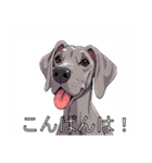 ワイマラナーがいっぱい（個別スタンプ：3）