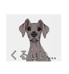 ワイマラナーがいっぱい（個別スタンプ：32）