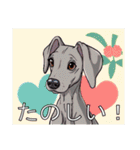 ワイマラナーがいっぱい（個別スタンプ：39）