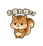 毎日使えるかわいいリススタンプ（個別スタンプ：4）