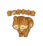 毎日使えるかわいいリススタンプ（個別スタンプ：13）