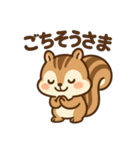 毎日使えるかわいいリススタンプ（個別スタンプ：20）