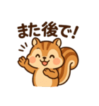 毎日使えるかわいいリススタンプ（個別スタンプ：24）