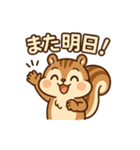 毎日使えるかわいいリススタンプ（個別スタンプ：25）