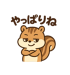毎日使えるかわいいリススタンプ（個別スタンプ：26）
